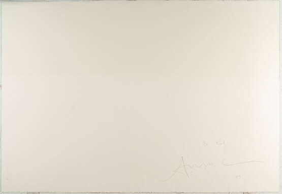 Antony Gormley. „Field“ - photo 3