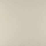 Antony Gormley. Floor - photo 1