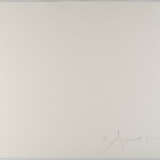 Antony Gormley. Floor - photo 3