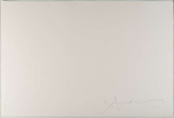 Antony Gormley. Floor - photo 3