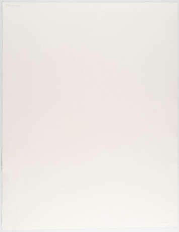 Idris Khan. After...Karl Blossfeldt Art Forms in Nature - photo 3