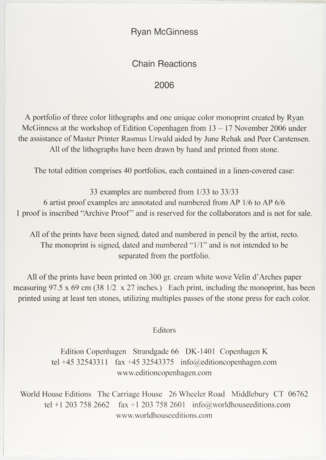 Ryan Mcginness. Chain Reaction - фото 6