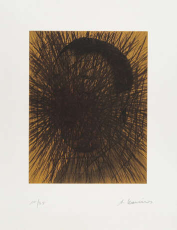 Arnulf Rainer. Graskopf - photo 1