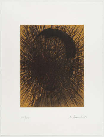 Arnulf Rainer. Graskopf - photo 2