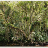 Thomas Struth. Paradies - photo 1