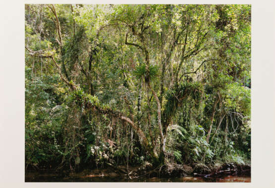 Thomas Struth. Paradies - photo 1 Thomas Struth. Paradies - photo 1