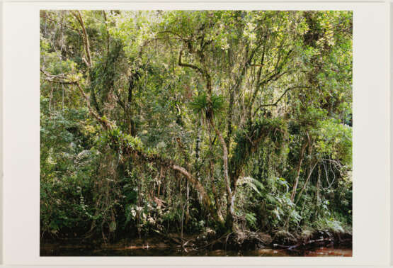 Thomas Struth. Paradies - photo 2 Thomas Struth. Paradies - photo 2
