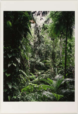 Thomas Struth. Paradies - photo 3 Thomas Struth. Paradies - photo 3