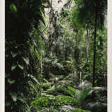 Thomas Struth. Paradies - photo 3