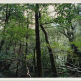 Thomas Struth. Paradies - photo 4