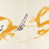 Antoni Tàpies. Aparicions - фото 1