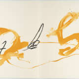 Antoni Tàpies. Aparicions - фото 2