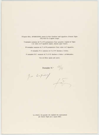 Antoni Tàpies. Aparicions - фото 7