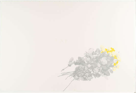 Not Vital. Dirigerer Sibelius, Grieg, Carl Nielsen - photo 4 Not Vital. Dirigerer Sibelius, Grieg, Carl Nielsen - photo 4