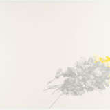 Not Vital. Dirigerer Sibelius, Grieg, Carl Nielsen - photo 4