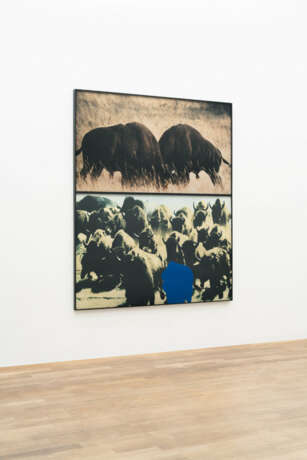 John Baldessari. Two Bison/Group of Bison (with blue shape) - фото 1 John Baldessari. Two Bison/Group of Bison (with blue shape) - фото 1