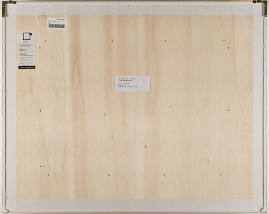 Gerhard Richter. FAZ Overpainting - фото 3 Gerhard Richter. FAZ Overpainting - фото 3