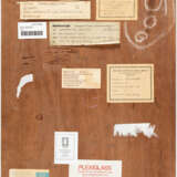 Kurt Schwitters. The chess picture - photo 3