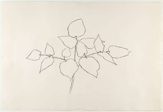 Ellsworth Kelly. Untitled - photo 3