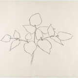 Ellsworth Kelly. Untitled - photo 3