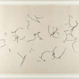 Ellsworth Kelly. Untitled - photo 4