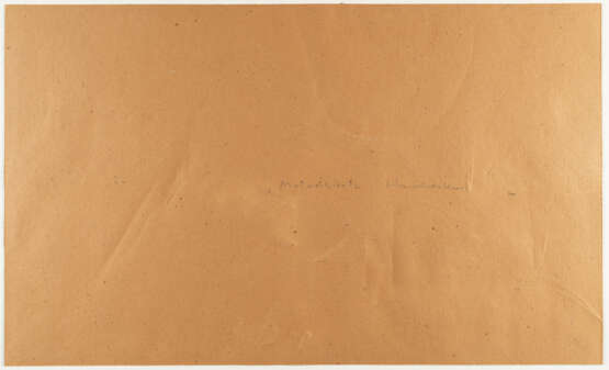 Heimrad Prem. "Motorised grasshoppers" - photo 3 Heimrad Prem. "Motorised grasshoppers" - photo 3