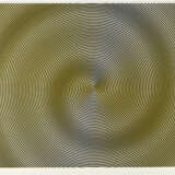 John Michael Armleder. Supernova - photo 4