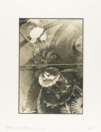 Robert Rauschenberg. Suite 1 (America Mix-16) - photo 5