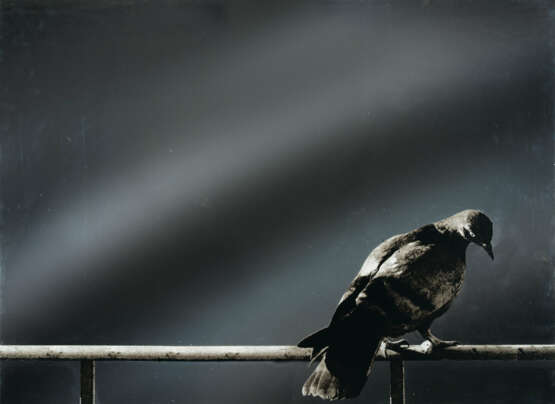 Michelangelo Pistoletto. Colomba from: Hommage à Picasso - photo 1