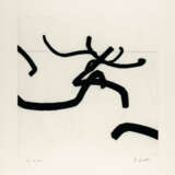 Bernar Venet. Combinaison Aléatoire de Lignes Indéterminées - photo 1