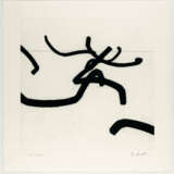 Bernar Venet. Combinaison Aléatoire de Lignes Indéterminées - photo 2