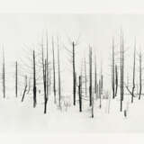 Darren Almond. Norilsk - photo 1