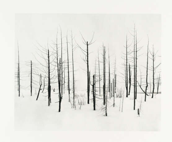 Darren Almond. Norilsk - photo 1