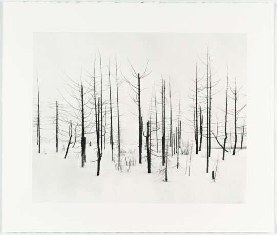 Darren Almond. Norilsk - photo 2