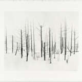 Darren Almond. Norilsk - photo 2