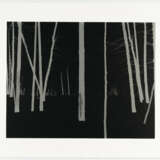 Darren Almond. Norilsk - photo 4