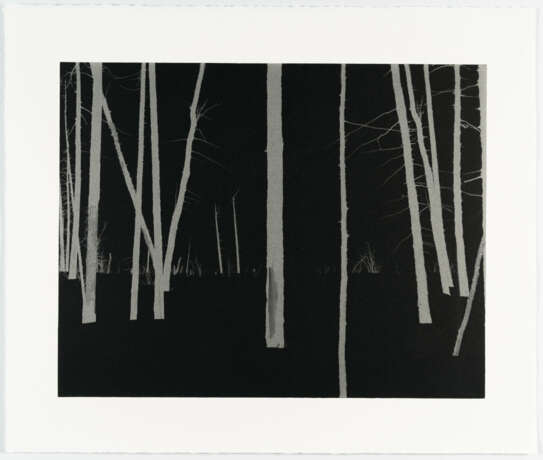 Darren Almond. Norilsk - photo 4