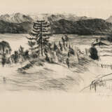 Lovis Corinth. Large Walchensee Landscape - photo 1
