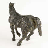 Alexander Fischer. Shying horse - photo 3