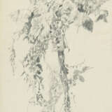Richard Oelze. Blossom branch (study) - photo 1