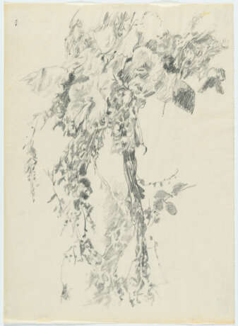 Richard Oelze. Blossom branch (study) - photo 2