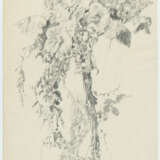 Richard Oelze. Blossom branch (study) - photo 2