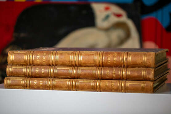 Musée Français. Recueil des plus beaux tableaux, statues, et bas-reliefs qui existaient au Louvre av - photo 1