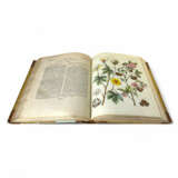 Friedrich Justin Bertuch, Picture book for children containing a collection of educational objects - фото 2