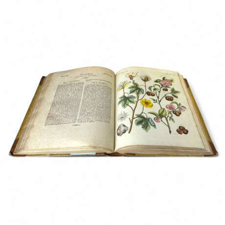 Friedrich Justin Bertuch, Picture book for children containing a collection of educational objects - фото 2 Friedrich Justin Bertuch, Picture book for children containing a collection of educational objects - фото 2