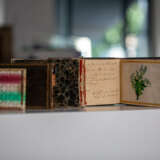Collection of Biedermeier autograph books - photo 6