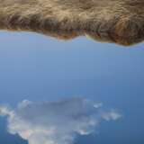 Maija Muizniece - My little cosmos Canvas oil 21th century - photo 2