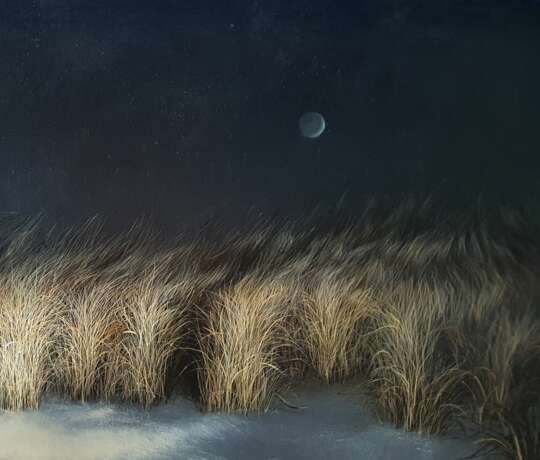 Maija Muizniece - Ténèbres côtières en velours Canvas oil 21th century - Foto 3 Maija Muizniece - Ténèbres côtières en velours Canvas oil 21th century - Foto 3