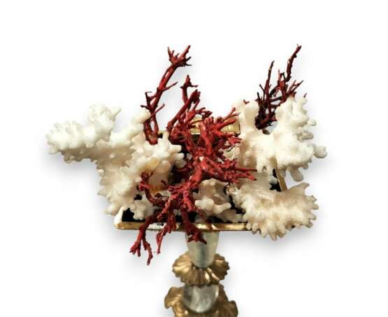 Unique Elephant Statue in Bronze with Coral 20th Century Бронза Other style 20th century г. - фото 7 Unique Elephant Statue in Bronze with Coral 20th Century Бронза Other style 20th century г. - фото 7