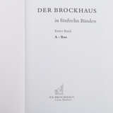 Der Brockhaus in 15 Bänden, Einbandgestaltung von JAMES RIZZI, - Foto 3